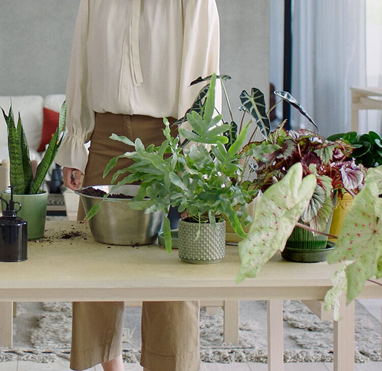 Air Purifiers | Home Care