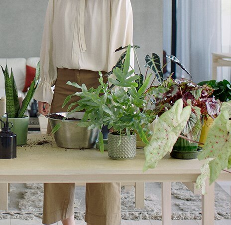 Air Purifiers | Home Care
